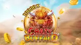 CRAZY BUFFALO