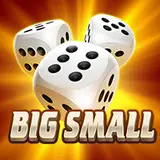 Big Small