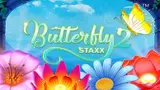 Butterfly Staxx 2