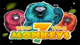 7 Monkeys