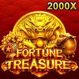 FORTUNE TREASURE