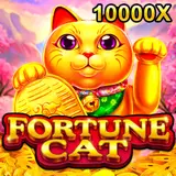 FORTUNE CAT