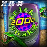 Brick Snake 2000 DX1